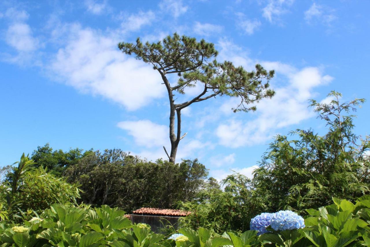 Quinta Do Torreao Villa Capelas Exterior foto